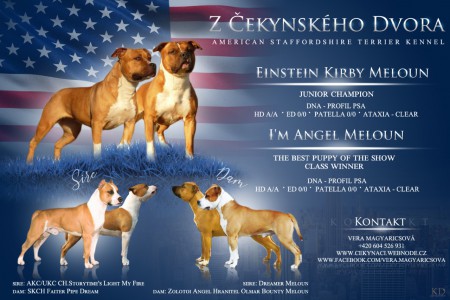 Plánovaná štěnátka březen 2019